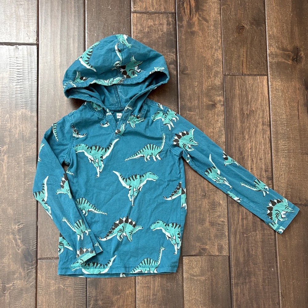 TEA COLLECTION Size 6 Boy Bundle Gray Crewneck, long sleeves, T shirt Dinosaurs - Picture 7 of 11